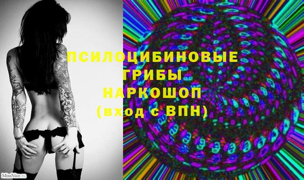 мет Осинники