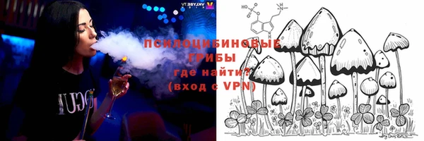 мет Осинники