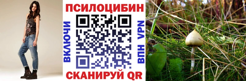 Галлюциногенные грибы мухоморы  Купить закладки  Тында 