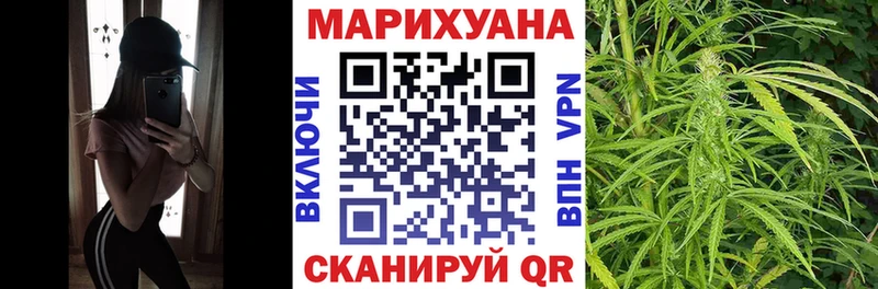 Купить где  Тында  Каннабис конопля 